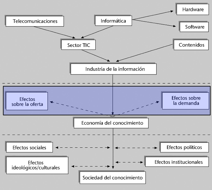 organizacion organizacion
