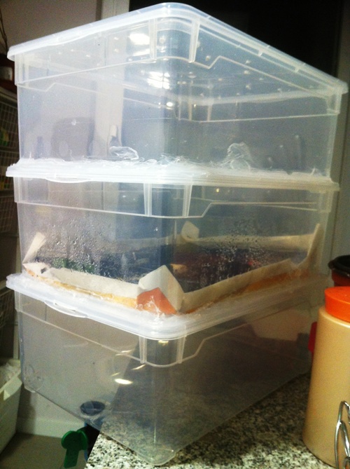 Vermicompostador casero